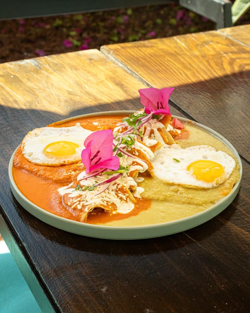 Huevos estrellados sobre tortilla con salsa y una flor